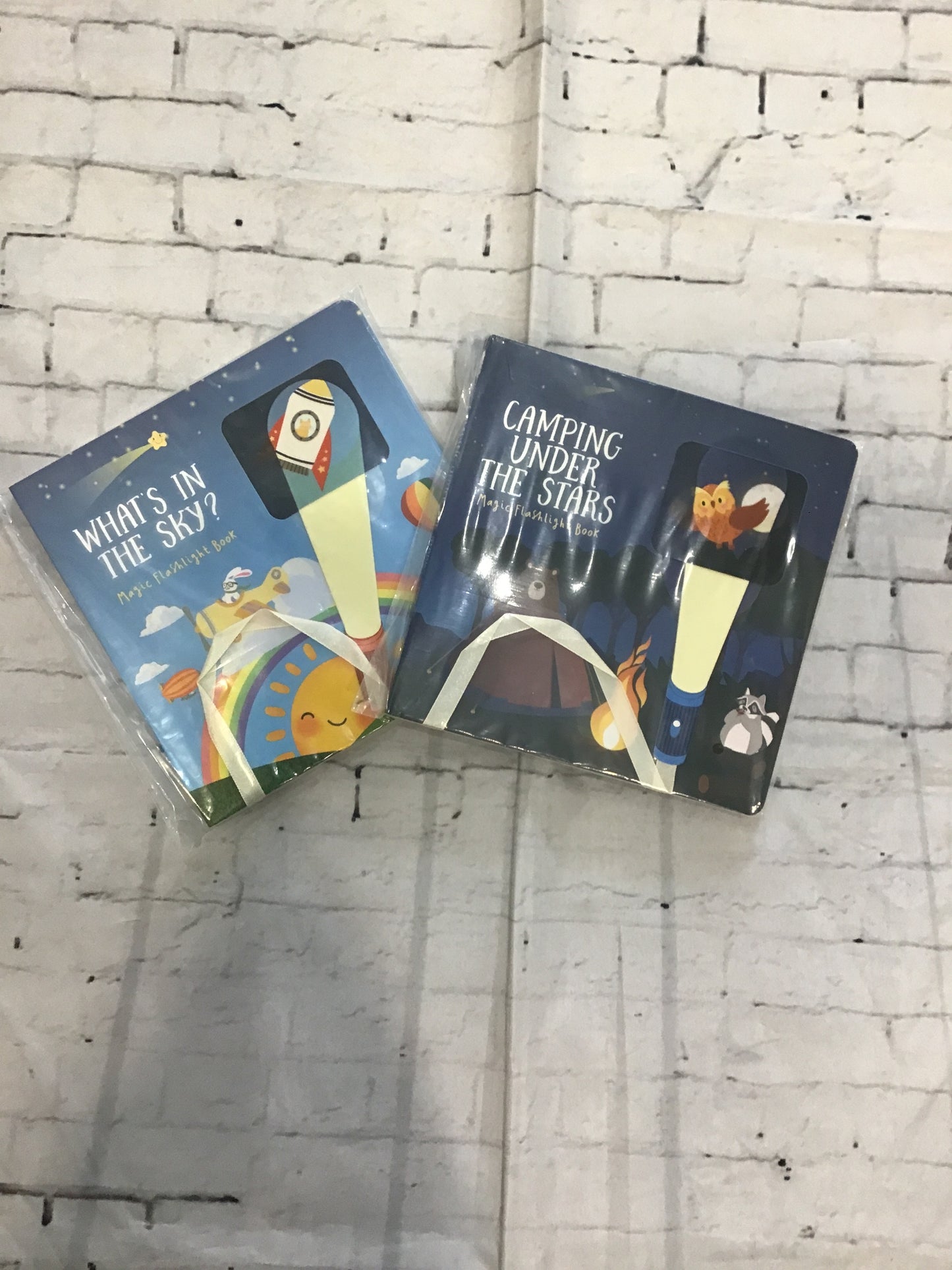 Flashlight books