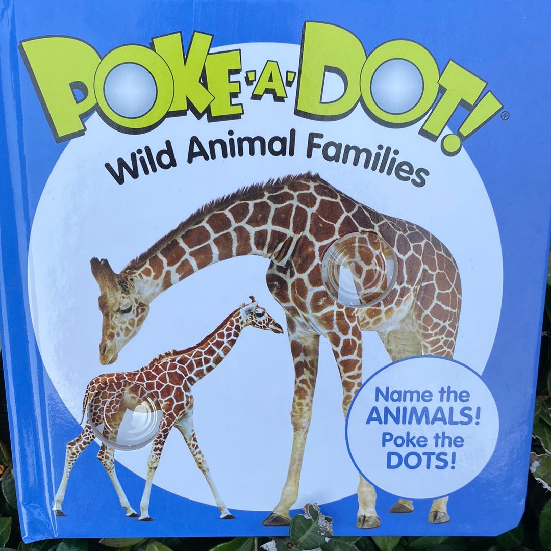 Small poke a dot books
