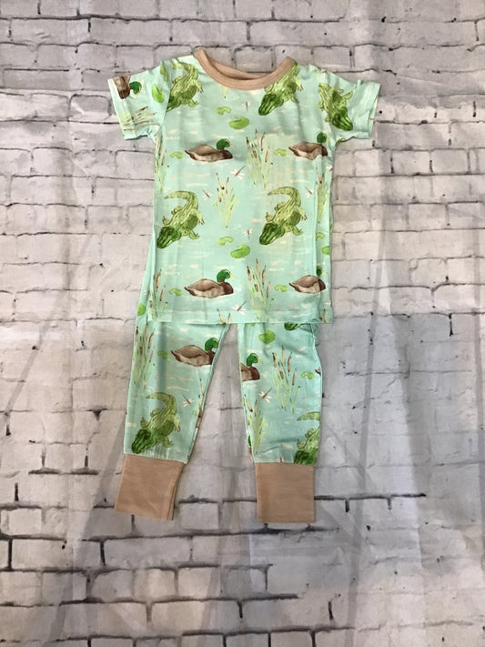 ducks and gators 2 pc