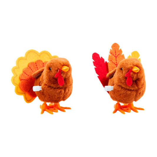 Wind up turkey