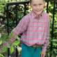 performance button down