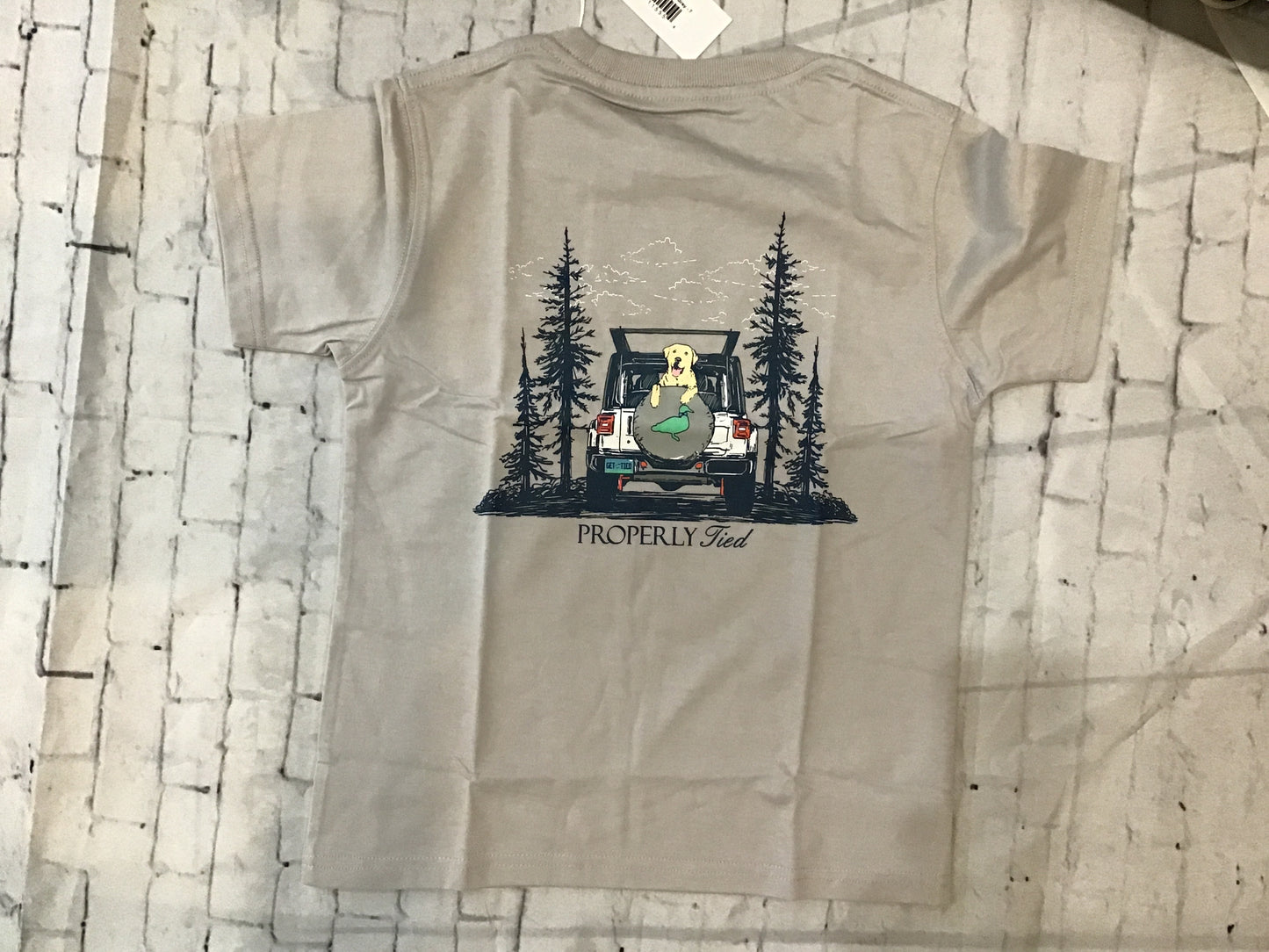 New Fall SS Shirts