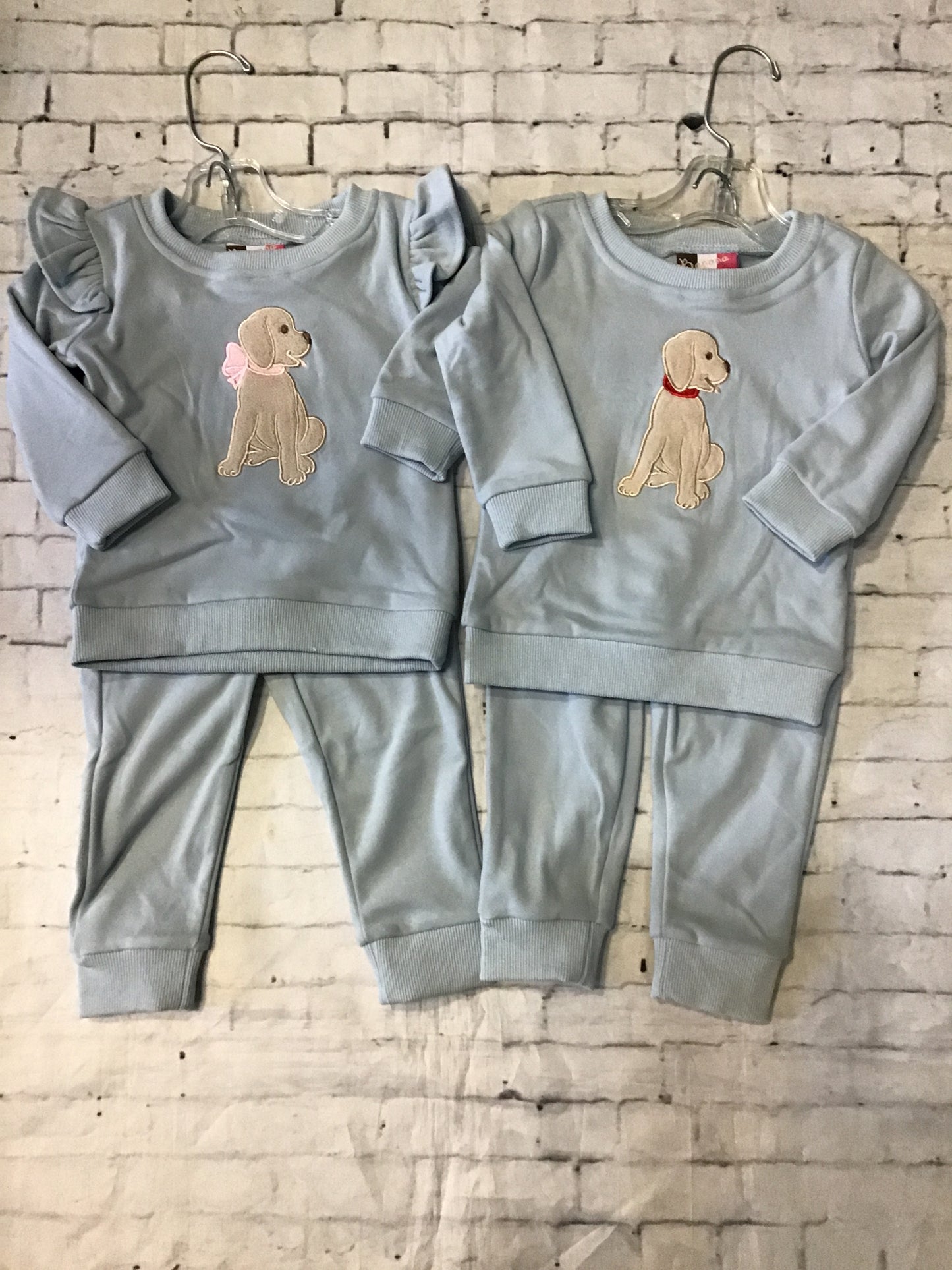 puppy jogger