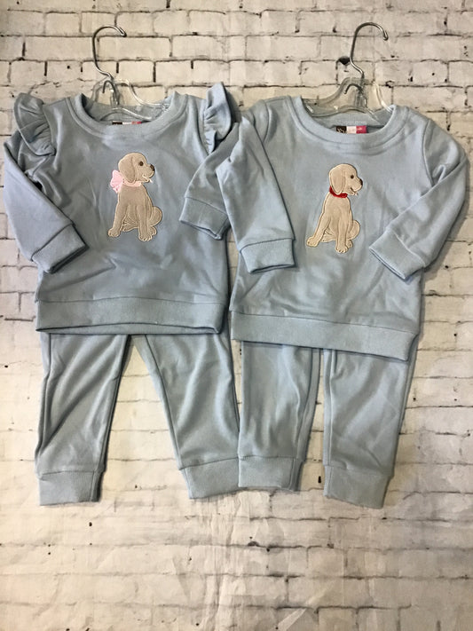 puppy jogger