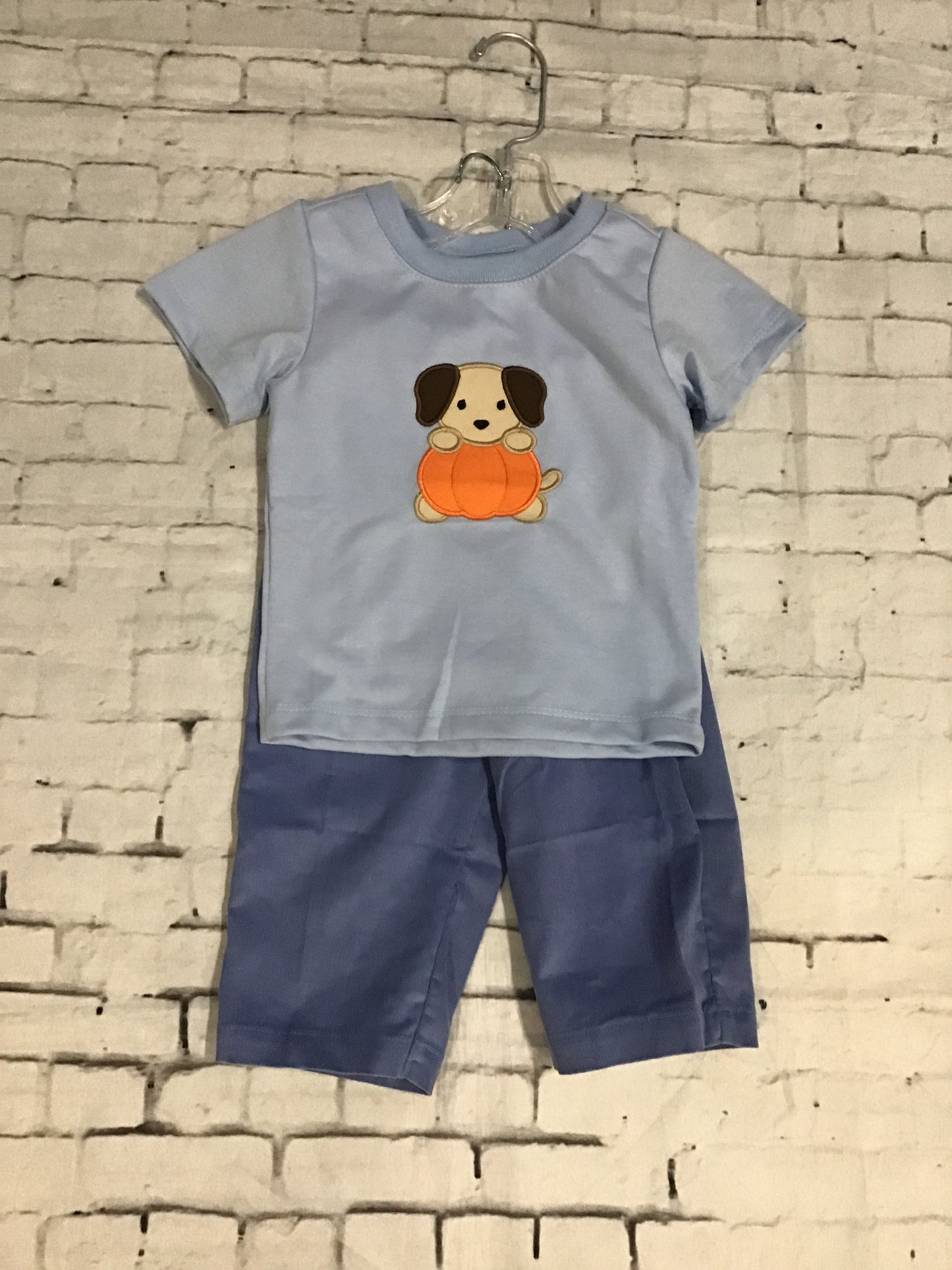 pumpkin and puppy sets