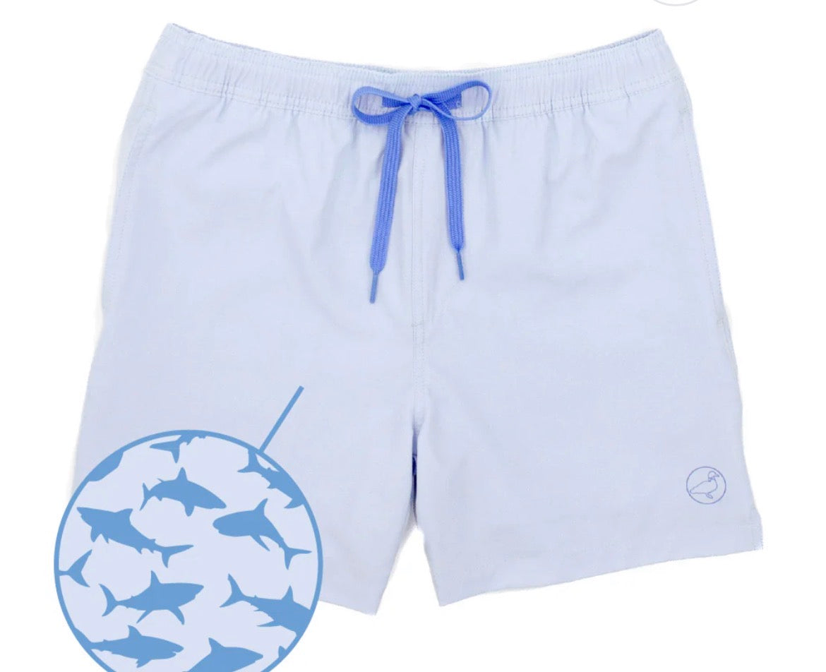 colorchange swim