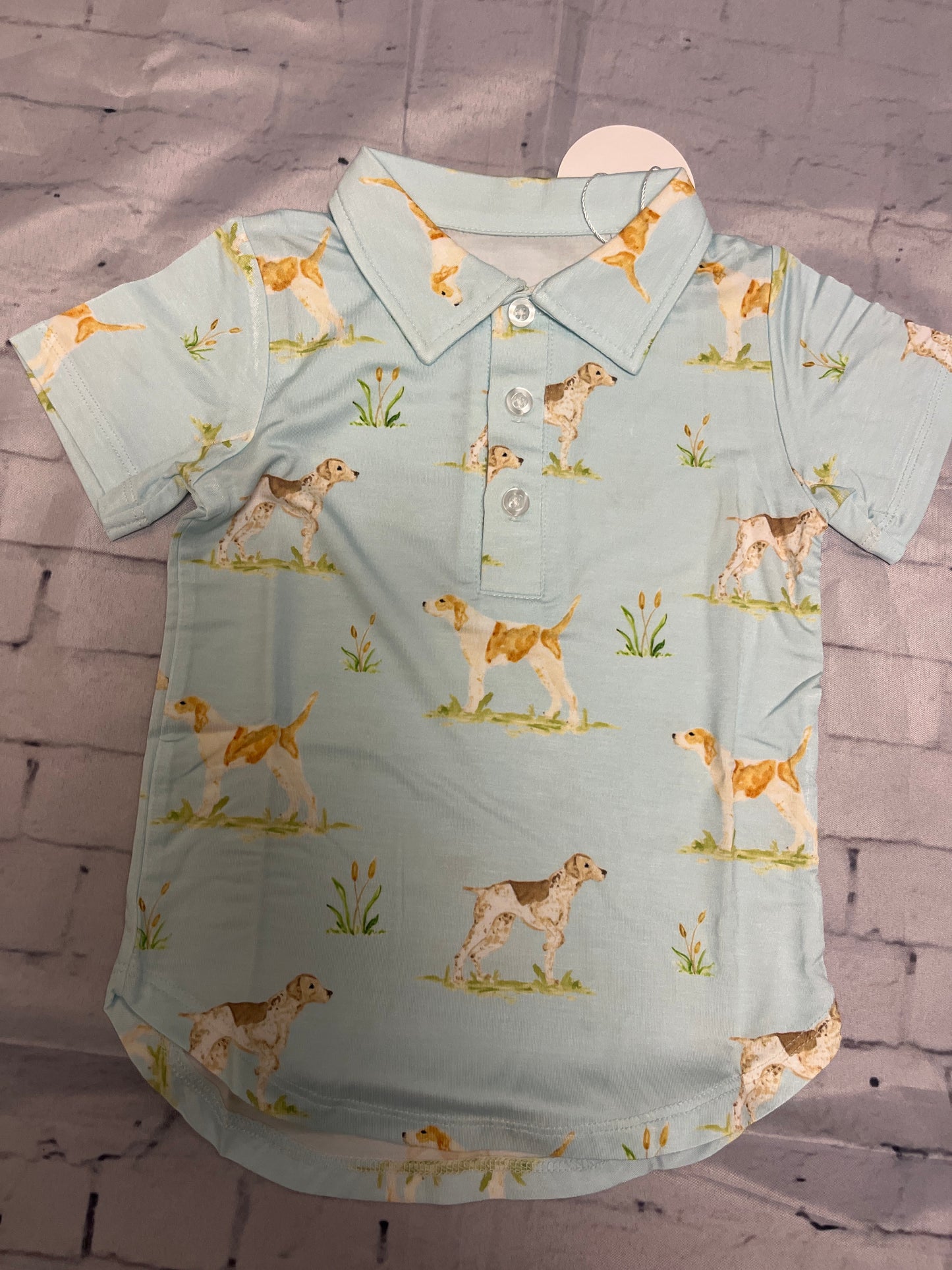 hunting dogs polo