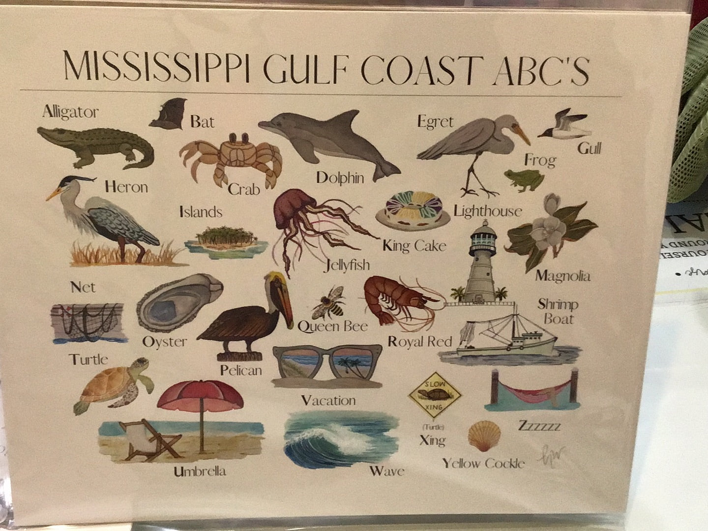 Ms gulf coast abc print